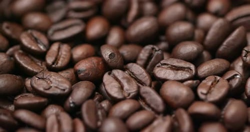 Roasted Coffee Beans Close Up Detail