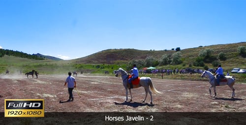 Equestrian Competition in Rural Field on Sunny Day
