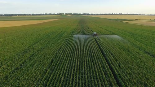 Aerial View of Tractor Spraying Wheat Field