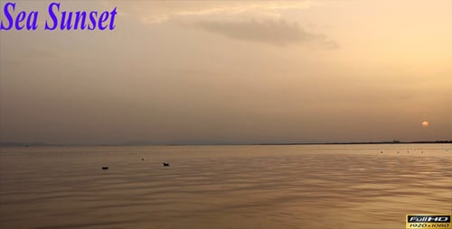 Sea Sunset