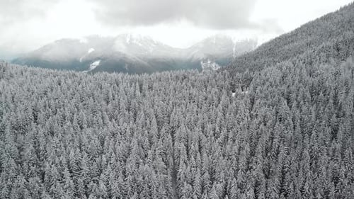 Flying Above Snow Covered Forest Unveiling Mountain Range Behind the Hill