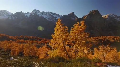Side POV Walking on Fall Woods Path Near Trees with Sun and Snowy Mounts
