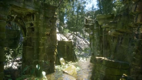Ancienne maison en pierre en ruine envahie de plantes et de fougères dans une forêt verdoyante
