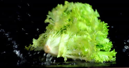 A Bunch of Fresh Salad Falls Into the Water with Splashes.