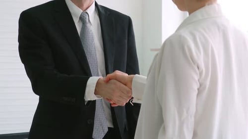 Business Man and Woman Handshake in Office