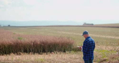 Farmer Using Digital Tablet While Examining Field