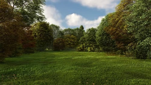 GREENFIELD WITH GRASS WITH A BLUE SKY AND A FOREST IN SUMMER 2K