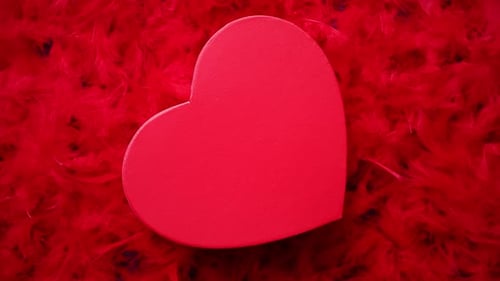 Red Heart on Bed of Red Feathers