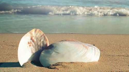 Beach 9