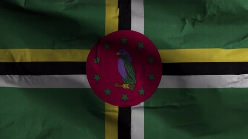 Waving Flag of Dominica Loop Animation