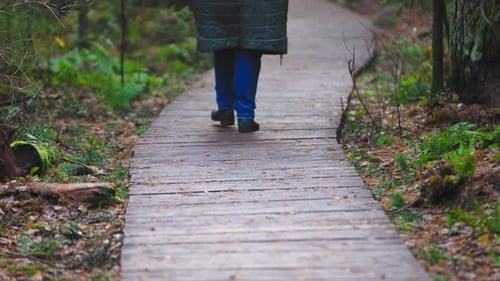 Randonnée en forêt