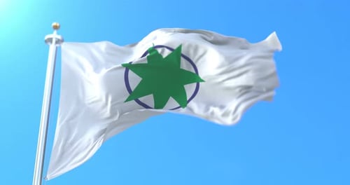 Waving Flag with Green Star and Circle Against Blue Sky