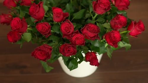 Red Roses