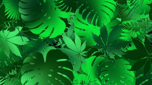 Lush Green Tropical Leaves Animated Background Loop