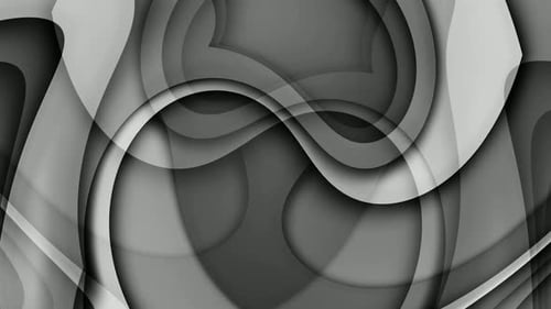 Abstract Fluid Grayscale Wavy Shapes Motion Background