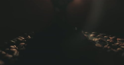 Steaming Coffee Beans Close Up