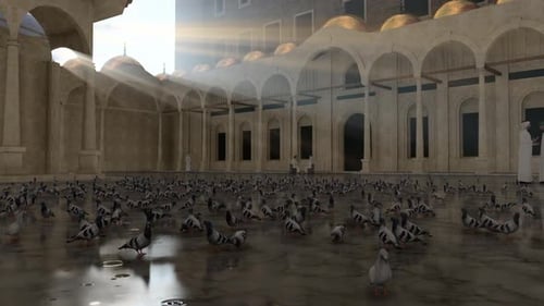 Cour de la mosquée et pigeons