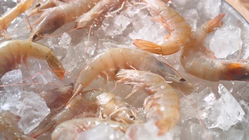 Camera follows fresh raw shrimps on a pile of crushed ice. Slow Motion.