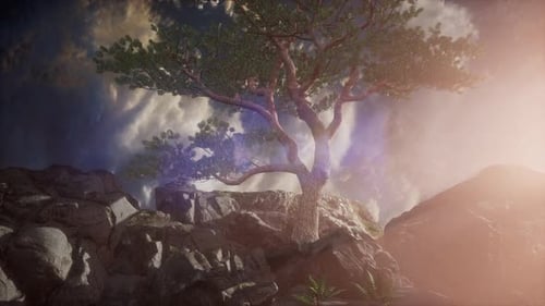 Beautiful View Above Cloudscape and Mountains