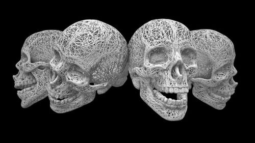 Structured Skulls 02