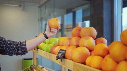Adult Selecting Orange Grapefruit in Grocery Store