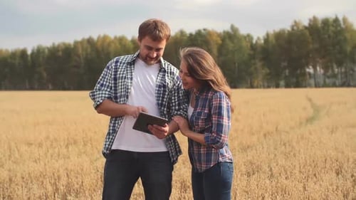Man and Woman Using Tablet in Field