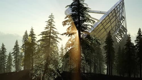 Le radiotélescope de l'Observatoire en forêt au coucher du soleil