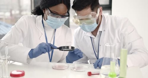 Scientists Examining Samples in a Clinical Laboratory