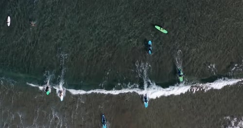 Aerial View. Flight Over Surfers in Wetsuits Waiting for Good Waves.