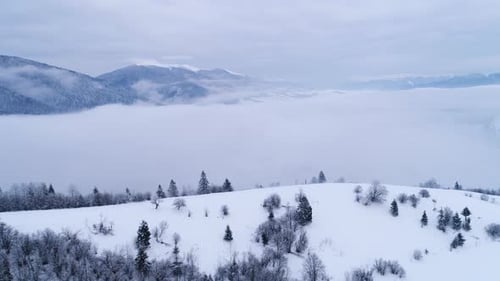 Aerial View in Foggy Sunset Winter Mountain