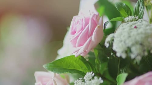 Close Up of a Bouquet of Pink Roses