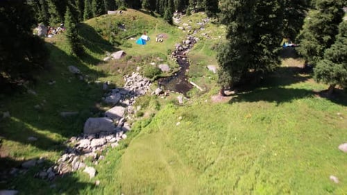 Ein kleiner Teich und ein Bach in einem Bergwald