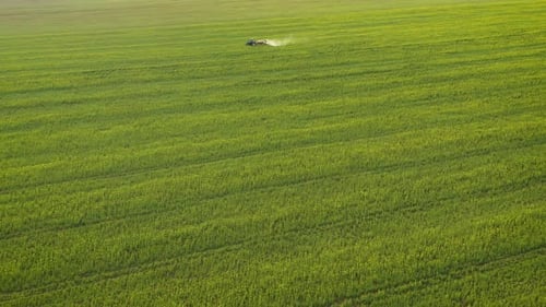 Aerial View of Tractor Treats Agricultural Plants on the Field