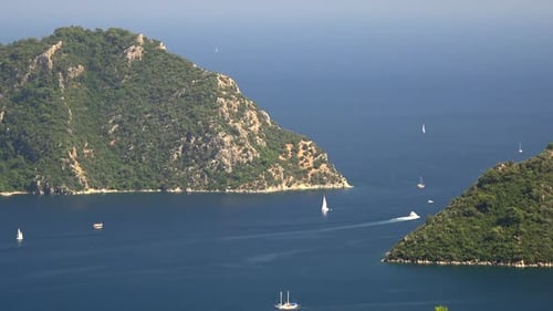 Forested Coastline at Strait on The Sea