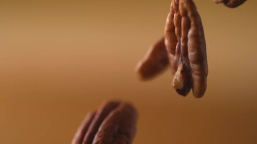 Pecan nuts falling. Slow Motion.