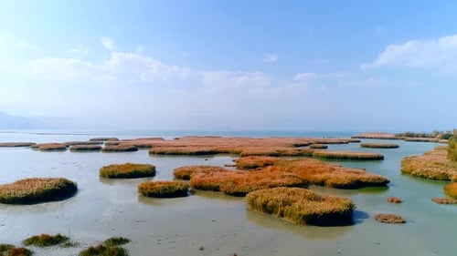 Aerial View of a Tranquil Marshland Landscape