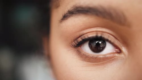 Close Up Macro Eyes of a Black Woman African American Woman Portrait Mix Raced Young Female Student