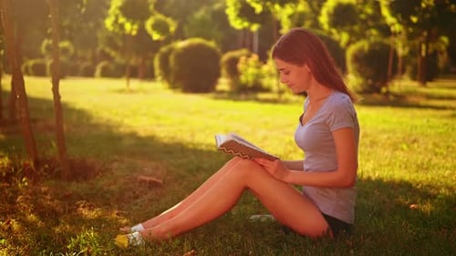 Cheerful Female Reads Novel Sits on the Green Grass