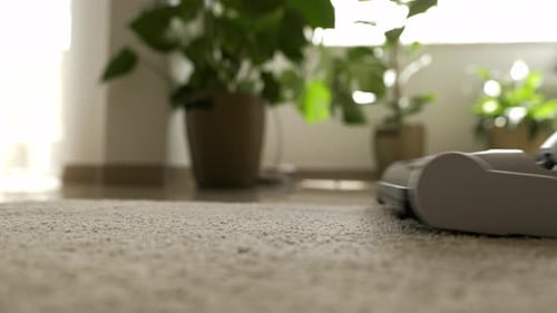 Vacuum Cleaner Cleaning White Fluffy Carpet
