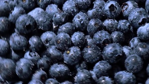 Fresh Blueberries Background Rotating in Slow Motion