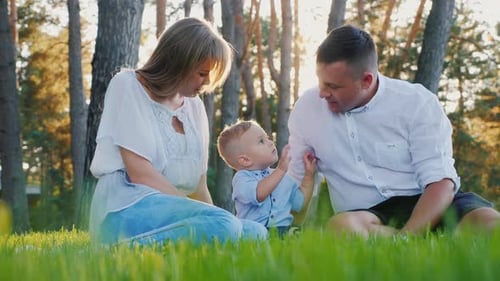 Loving Family Enjoys Sunny Day in Park
