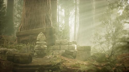 Hoary Ruins of Ancient City in Pine Forest