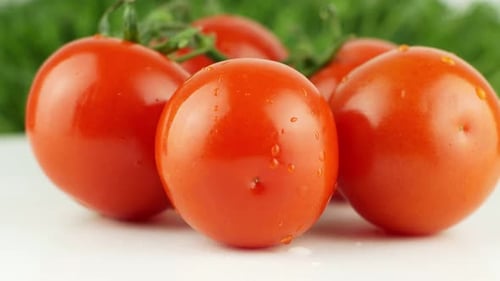 Reife natürliche Tomaten aus nächster Nähe. Bio-Tomate, die sich auf grünem Hintergrund drehen. Makroaufnahme.