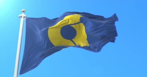 Realistic Flag Waving Animation With Placeholder Logo