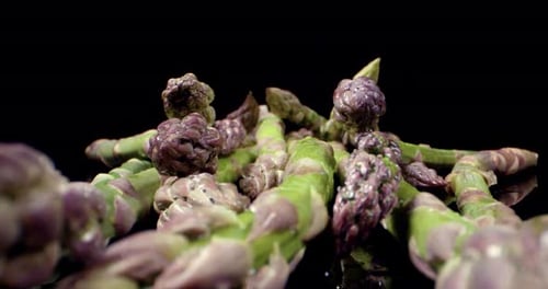 Frisches Spargelgrün Super Makro Nahaufnahme