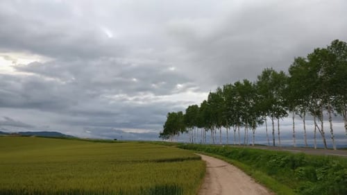 Panoramablick auf atemberaubende Landschaft mit goldenem Weizenfeld und leerer Straße