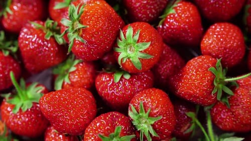 Fresh Red Strawberries Close Up Piled High