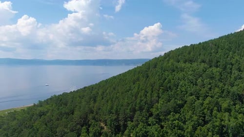 Flight Over the Green Forest on the Shore of Lake