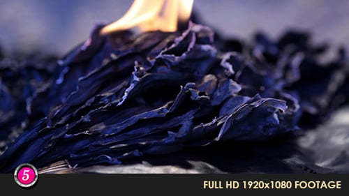Flame Burning Atop Charred Black Material Close Up