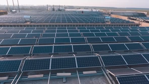 Solar farm on roofs of big buildings. Solar cells receiving green ...